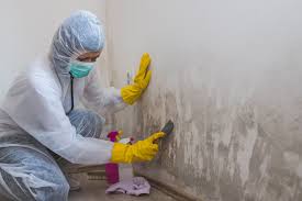 Best Crawl Space Mold Remediation  in Great Falls, SC